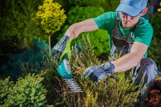 landscaping services Langdon Place